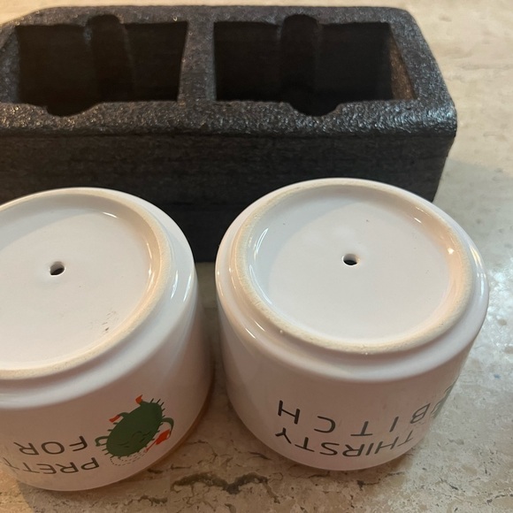 Super Cute and Funny Succulent Planters - Picture 4 of 5